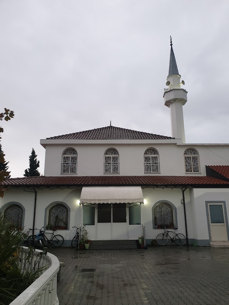 2021 12 11 - VisitShkoder