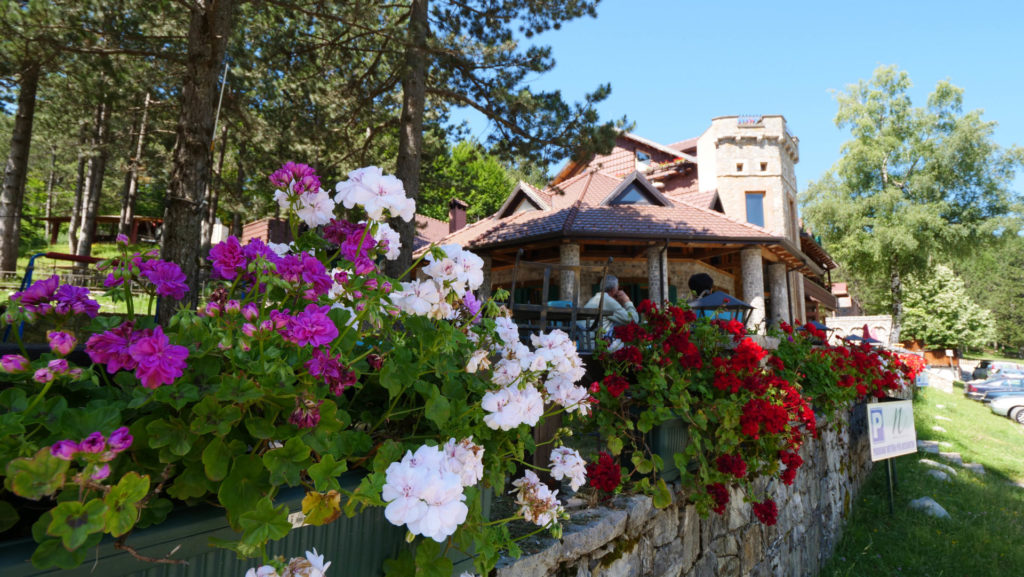 P1100665 svg+xml;charset=utf - VisitShkoder