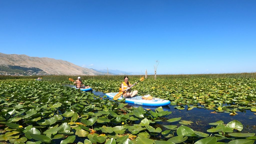 visit shkoder drini times 3 - VisitShkoder