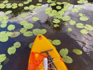 Drini Times Shkoder Lake Tour - Self Guided Tour
